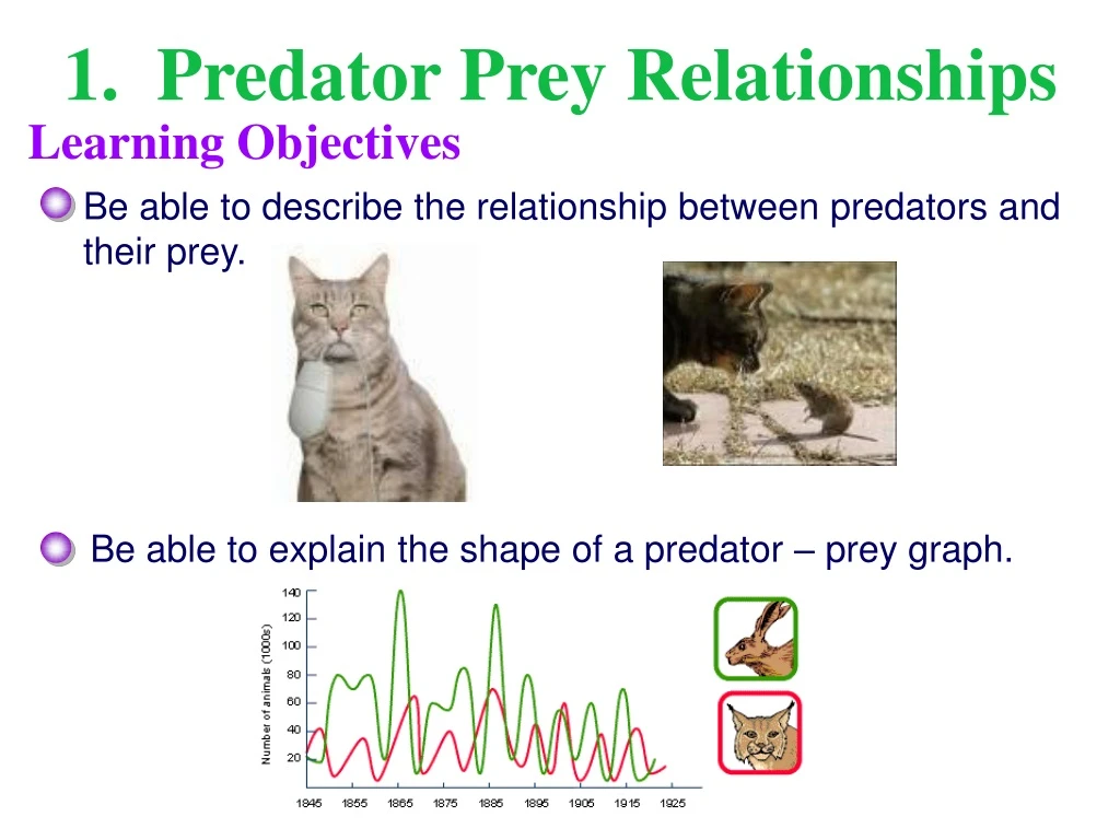 1 predator prey relationships