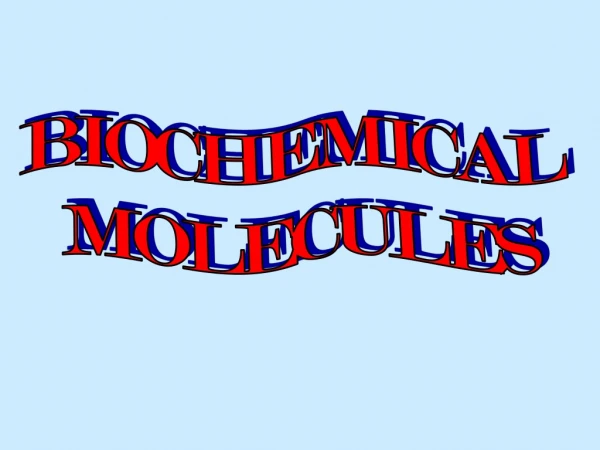BIOCHEMICAL  MOLECULES