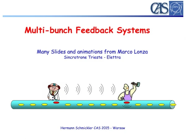 Multi-bunch Feedback Systems