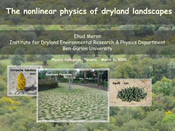 The nonlinear physics of dryland landscapes
