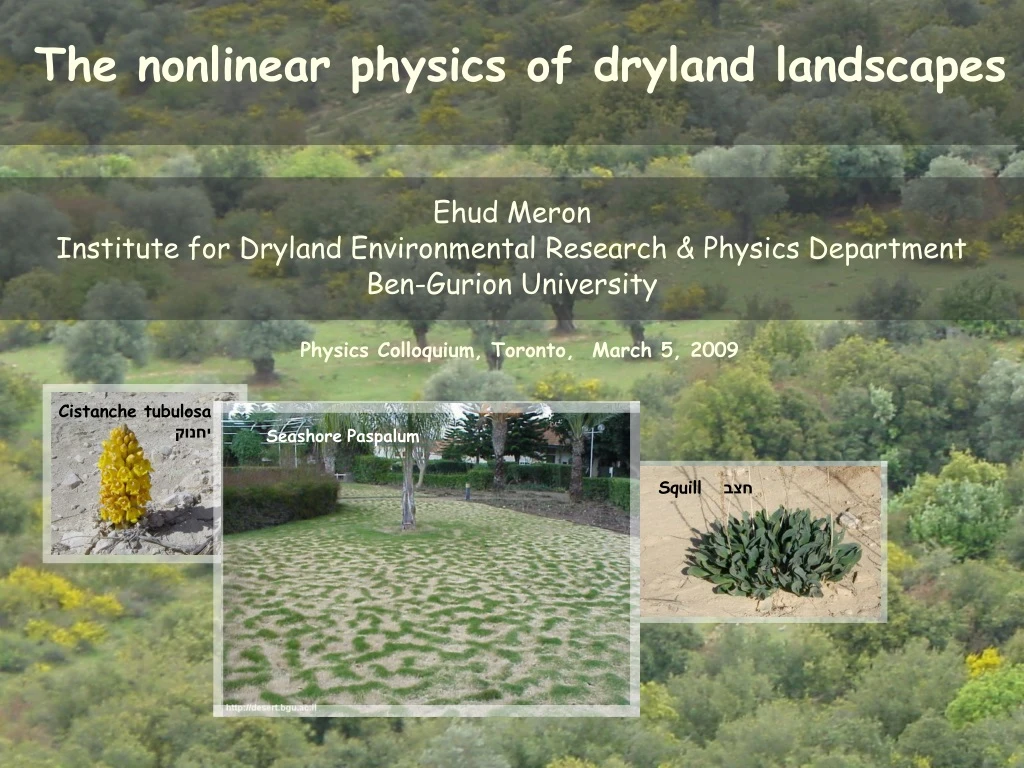 the nonlinear physics of dryland landscapes