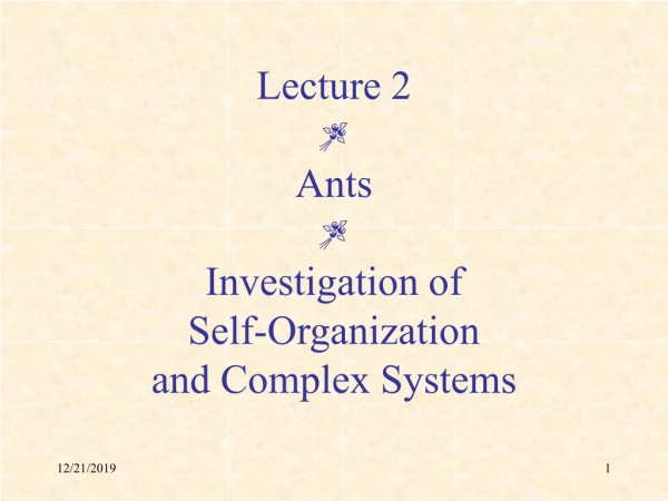 Lecture 2  Ants  Investigation of Self-Organization and Complex Systems