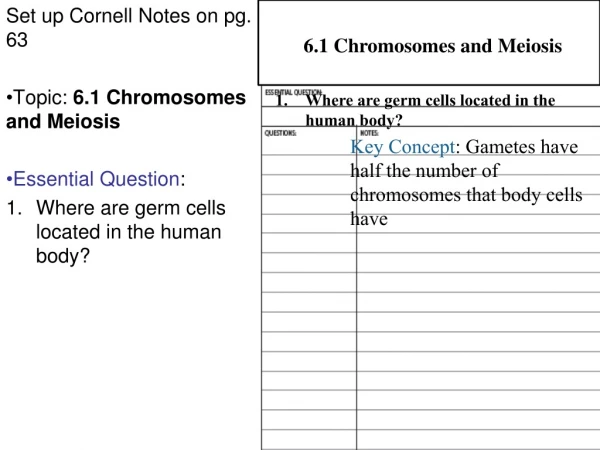 Set up Cornell Notes on pg. 63 Topic:  6.1 Chromosomes and Meiosis Essential Question :