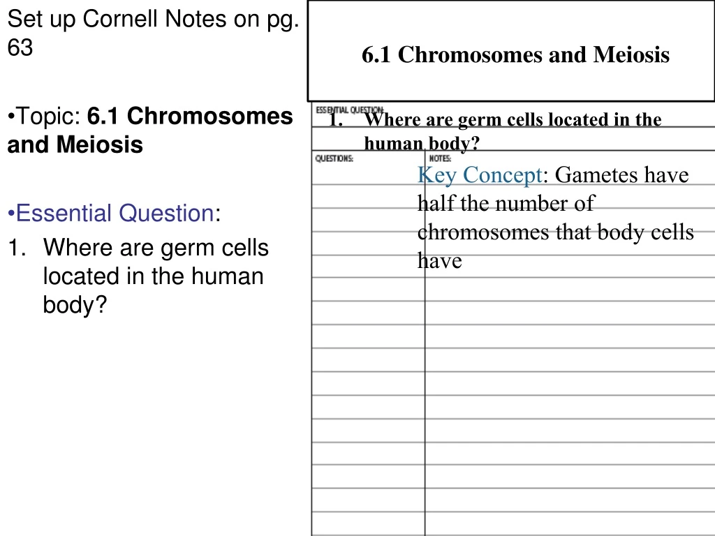 6 1 chromosomes and meiosis