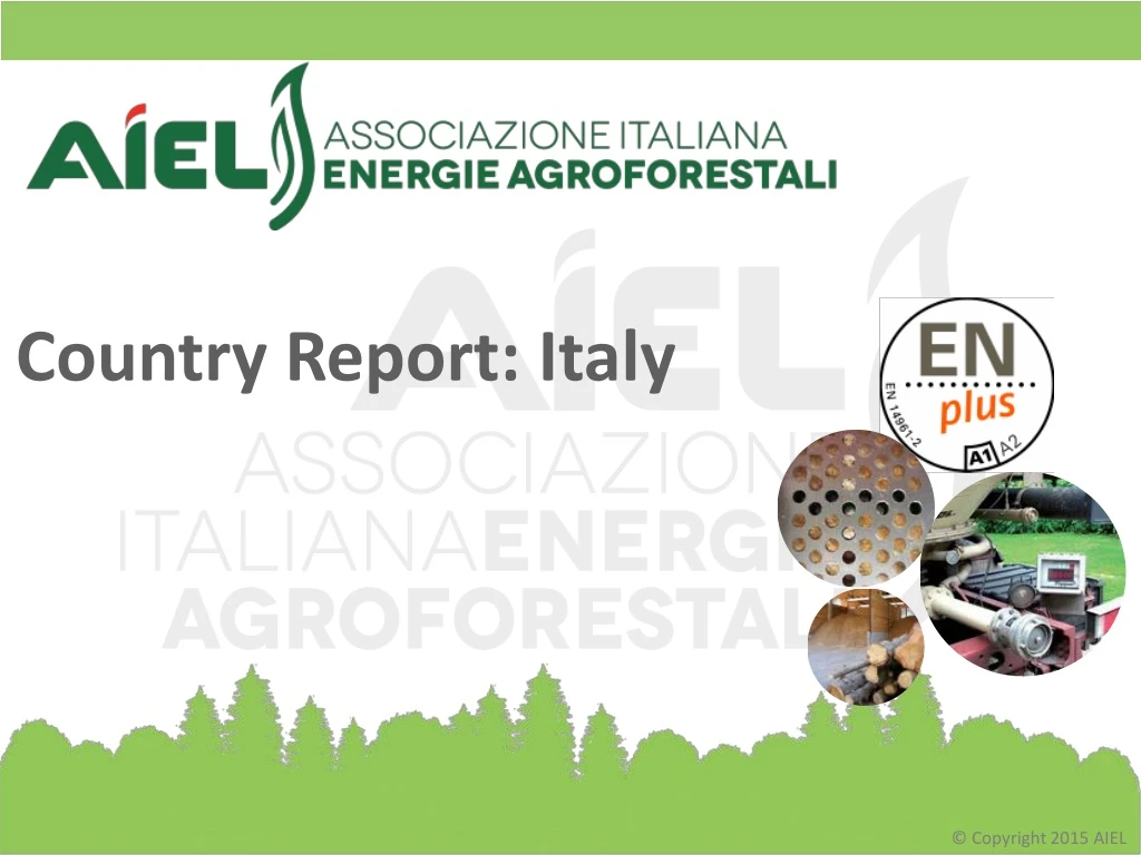 country report italy