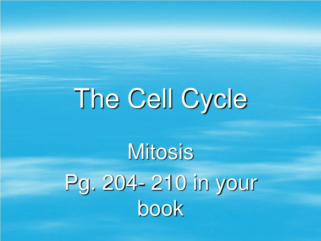 the cell cycle