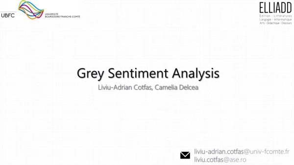 Grey Sentiment Analysis