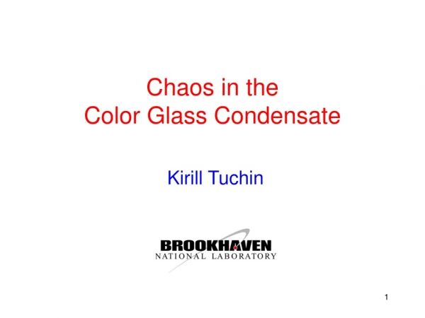 Chaos in the  Color Glass Condensate