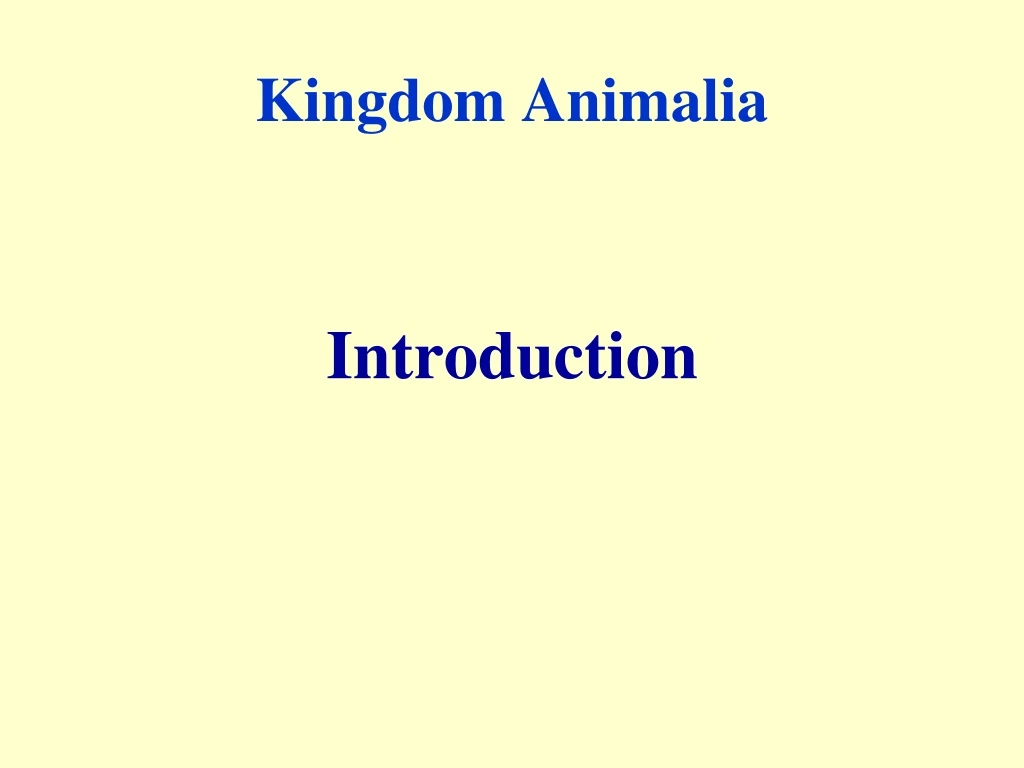 kingdom animalia