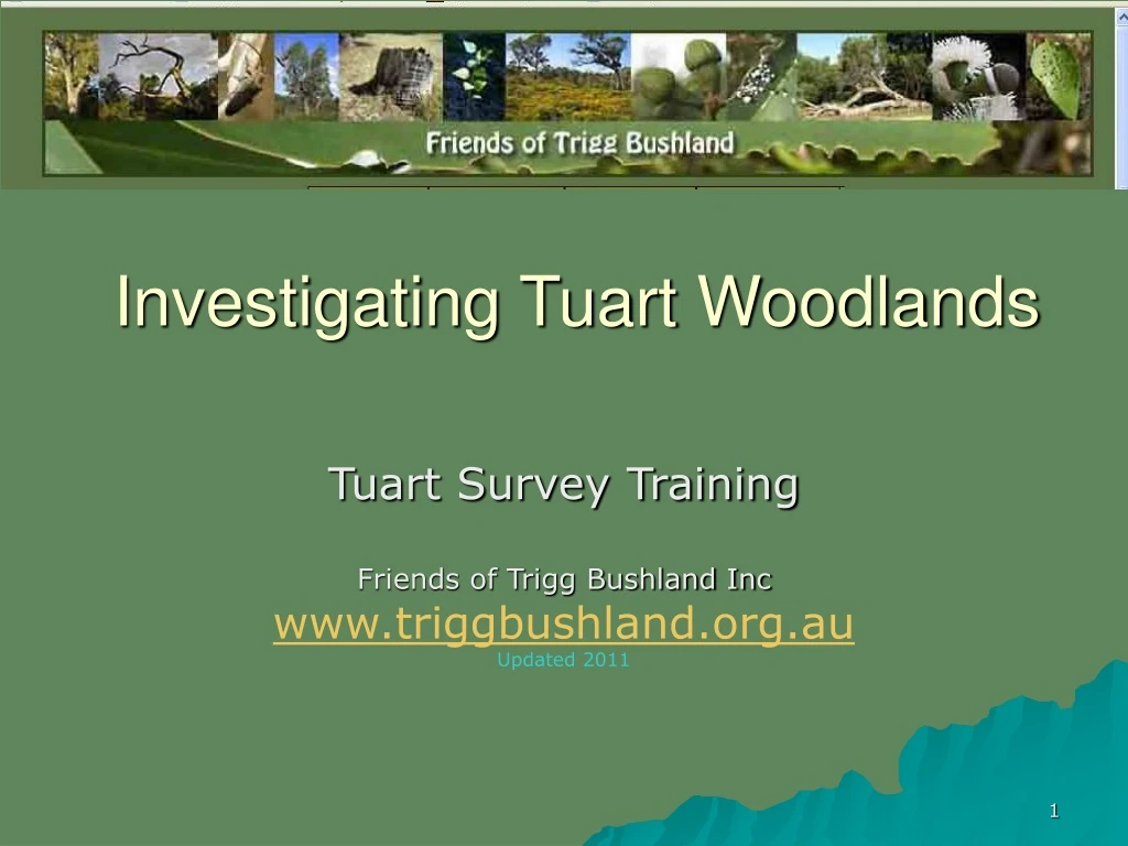 investigating tuart woodlands