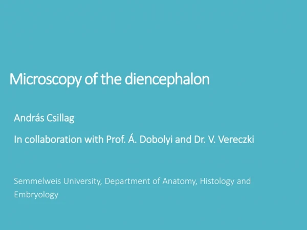 Microscopy of the diencephalon