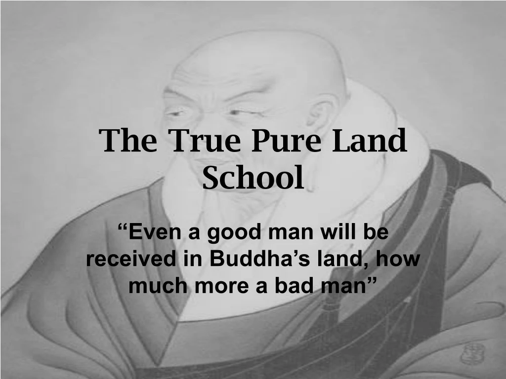 the true pure land school