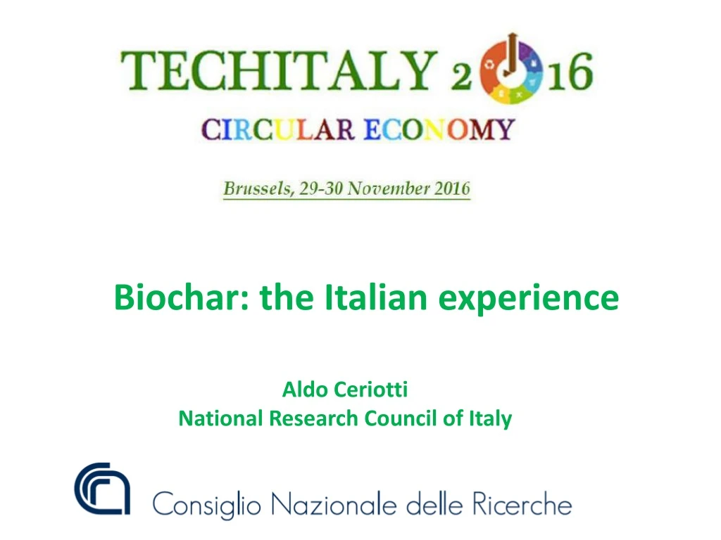 biochar the italian experience