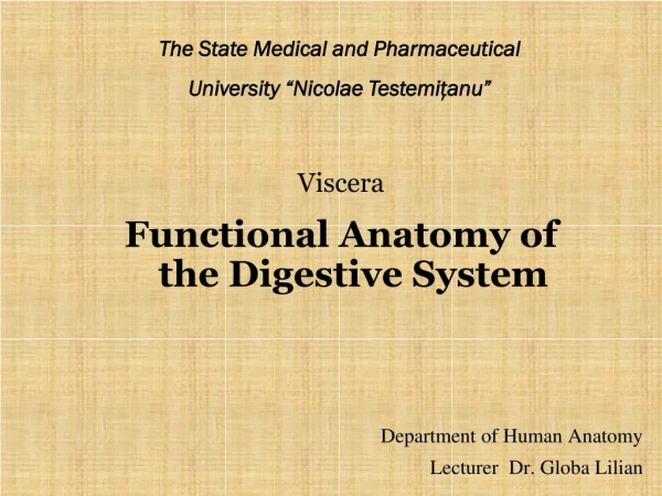 Viscera Functional Anatomy of the Digestive System