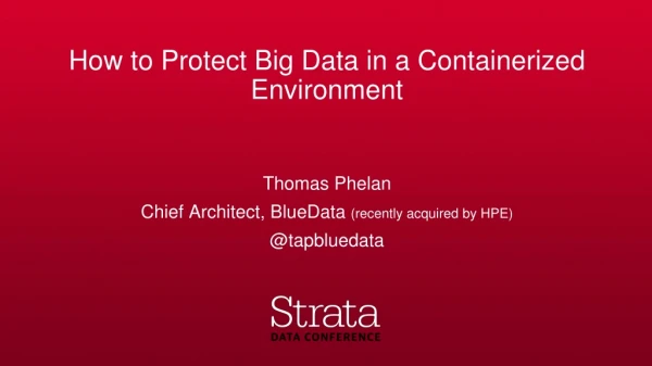 How to Protect Big Data in a Containerized Environment
