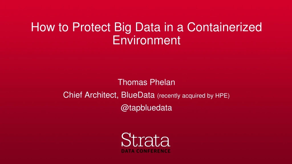how to protect big data in a containerized environment