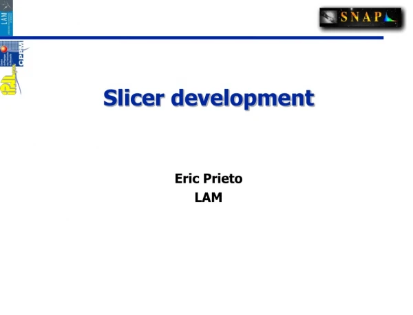 Slicer development