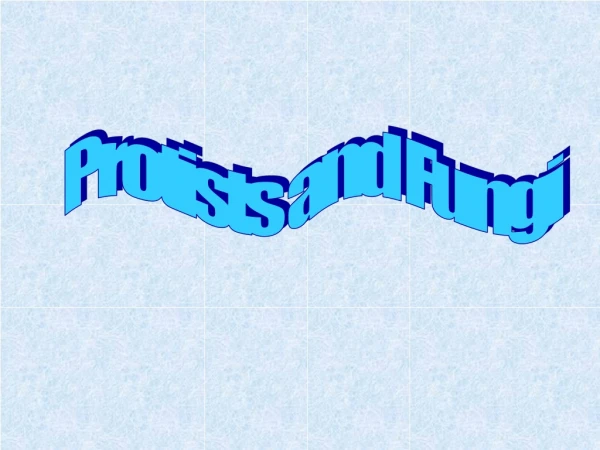 Protists and Fungi