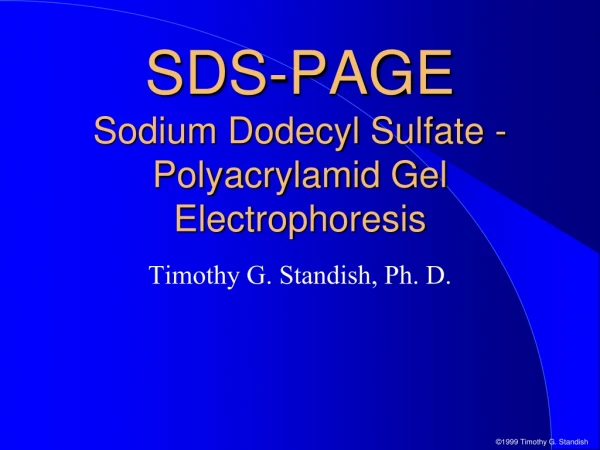 SDS-PAGE Sodium Dodecyl Sulfate - Polyacrylamid Gel Electrophoresis