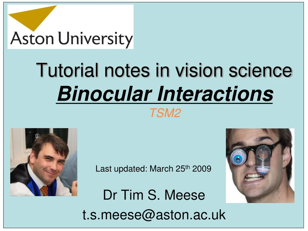 tutorial notes in vision science binocular interactions tsm2