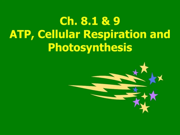 Ch. 8.1 &amp; 9   ATP, Cellular Respiration and Photosynthesis