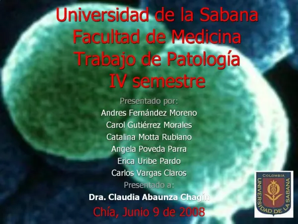 Universidad de la Sabana Facultad de Medicina Trabajo de Patolog a IV semestre