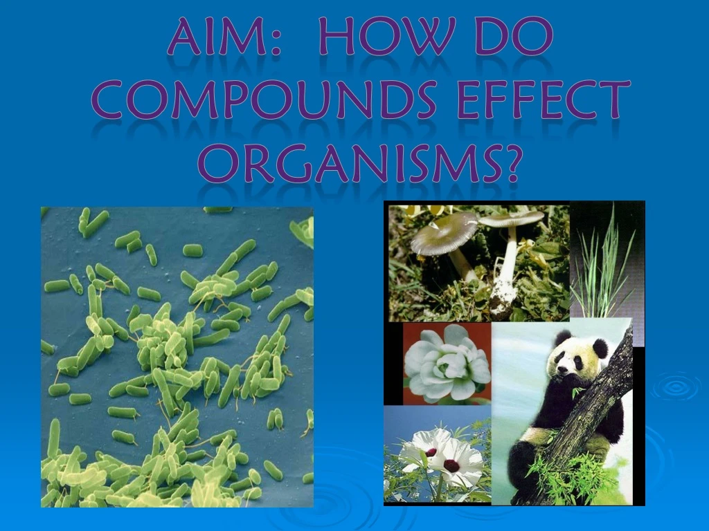 aim how do compounds effect organisms