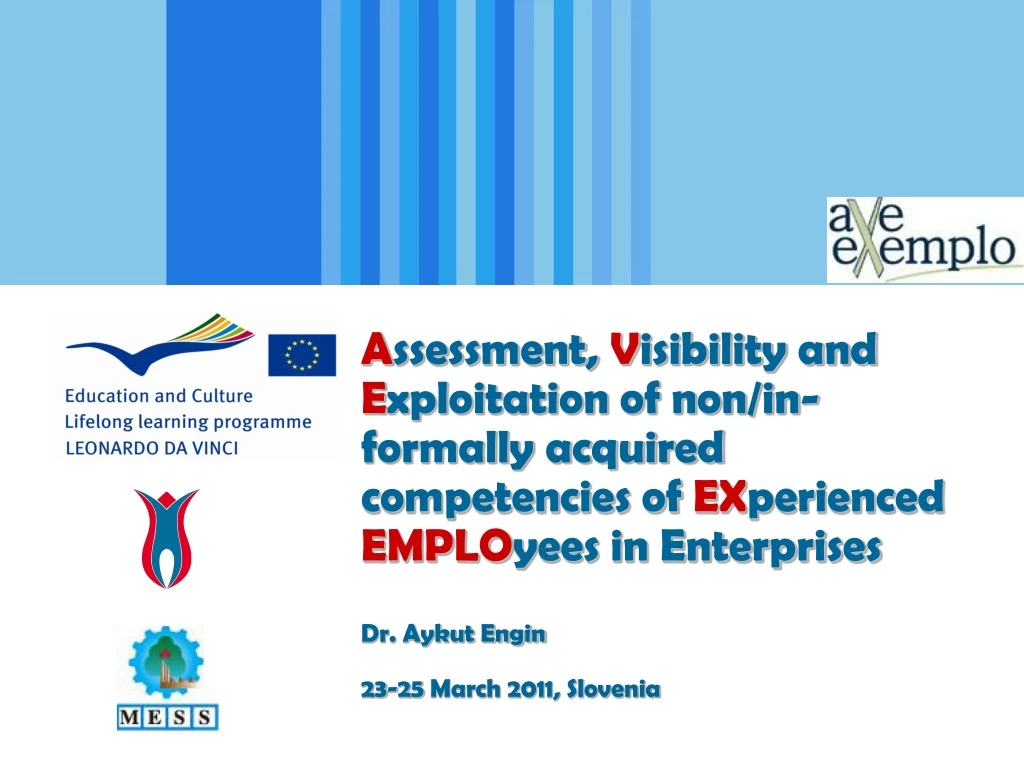 a ssessment v isibility and e xploitation