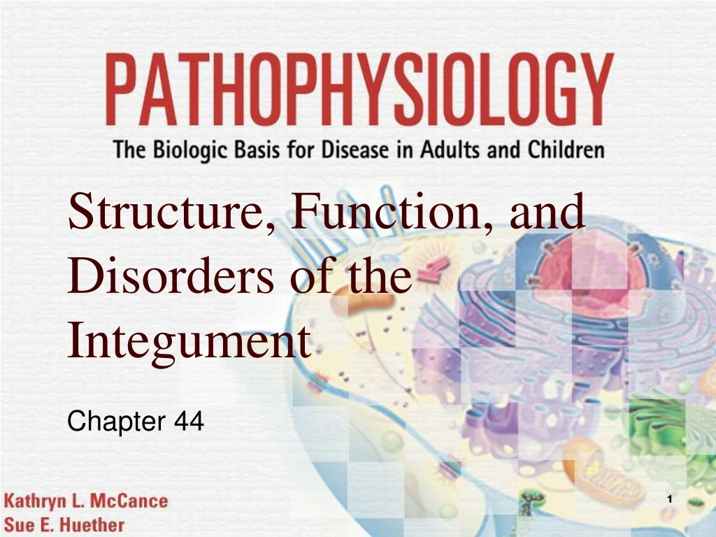 structure function and disorders of the integument