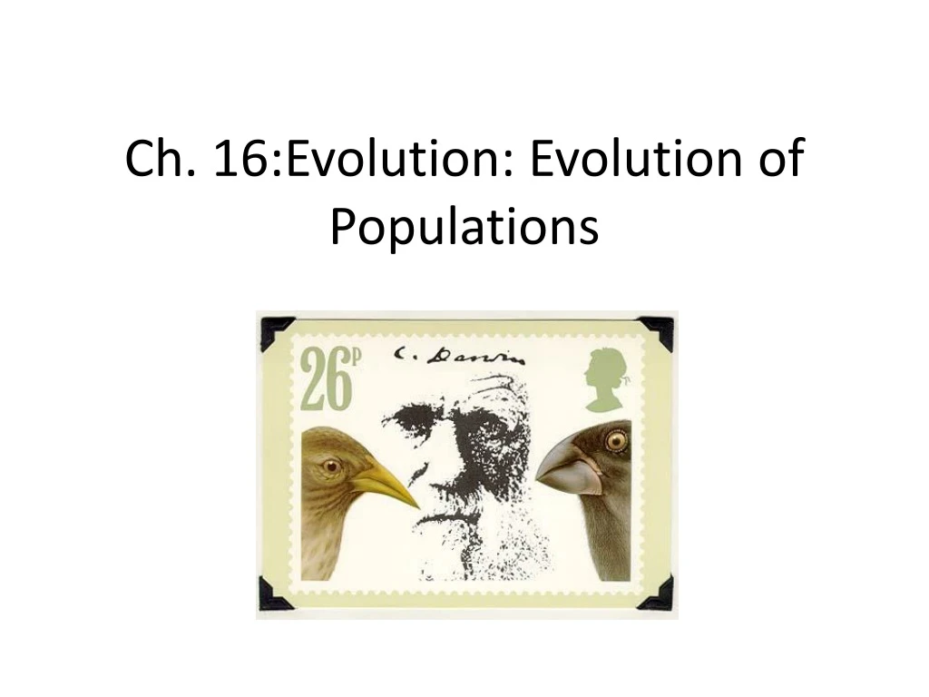 ch 16 evolution evolution of populations