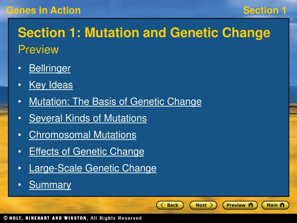 section 1 mutation and genetic change