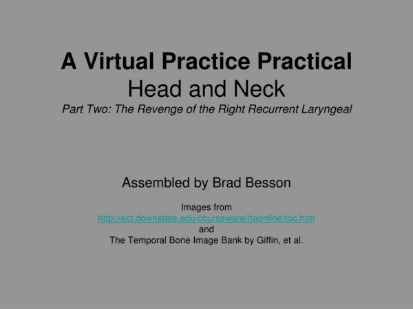 A Virtual Practice Practical  Head and Neck Part Two: The Revenge of the Right Recurrent Laryngeal