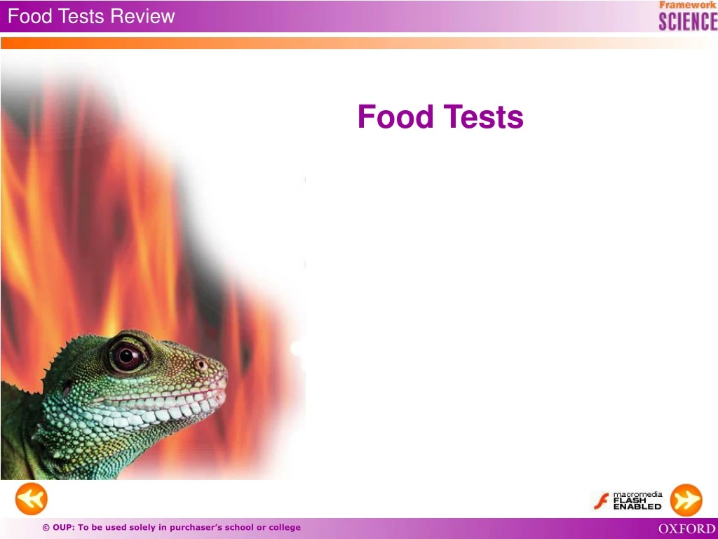 food tests review