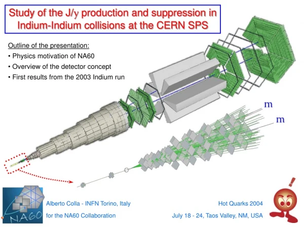 Study of the J/ y  production and suppression in Indium-Indium collisions at the CERN SPS