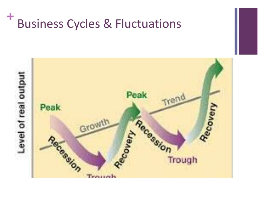 business cycles fluctuations