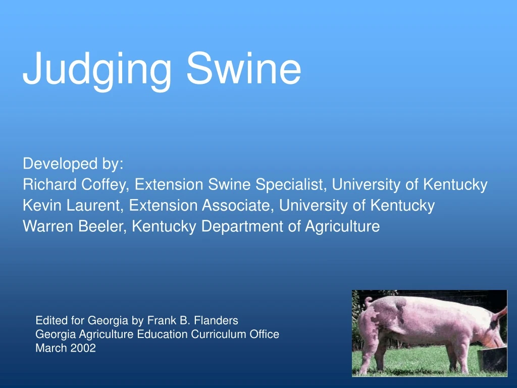 judging swine