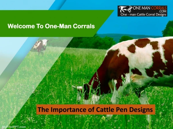 The Importance of Cattle Pen Designs