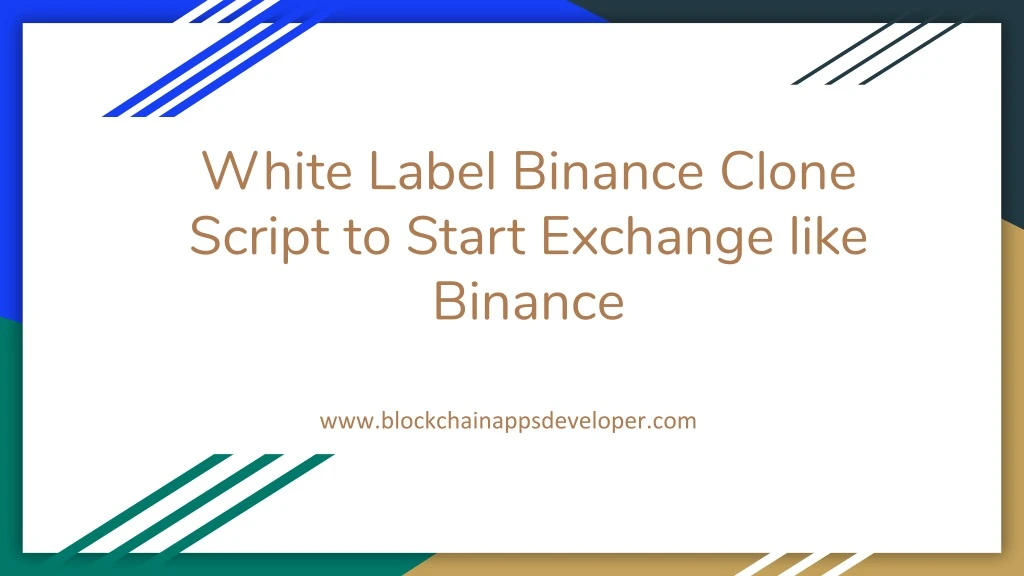 white label binance clone script to start