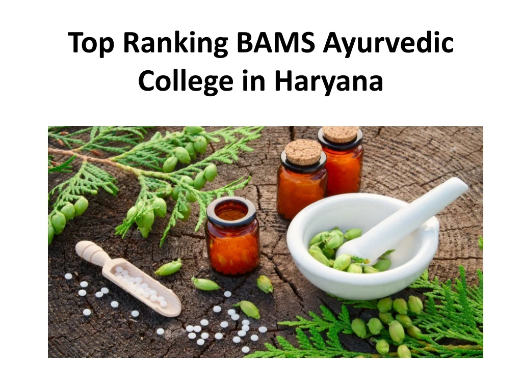 top ranking bams ayurvedic college in haryana