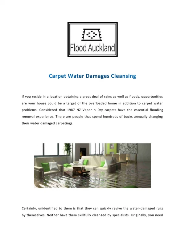 Professional Carpet Dryers | Flood Carpet Drying Auckland | Flood.Org.Nz