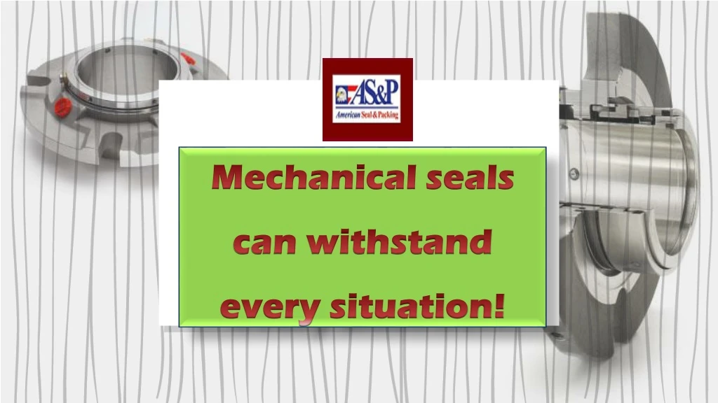 mechanical seals can withstand every situation