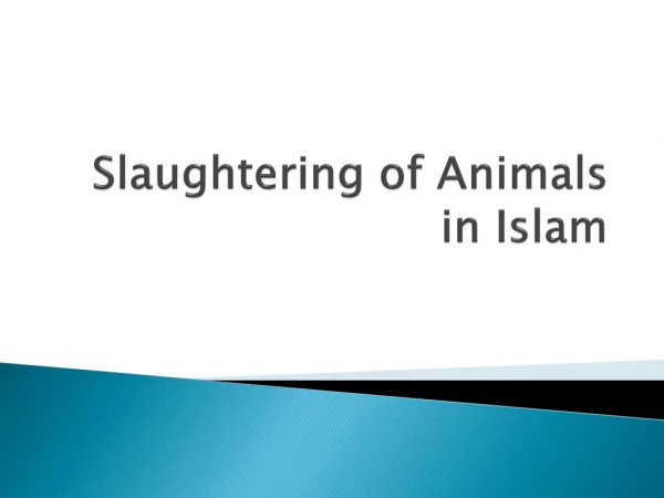 slaughtering of animals in islam