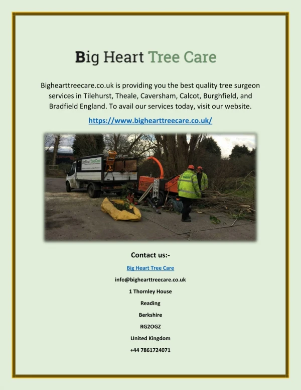 Tree Surgeon Tilehurst - Bighearttreecare.co.uk