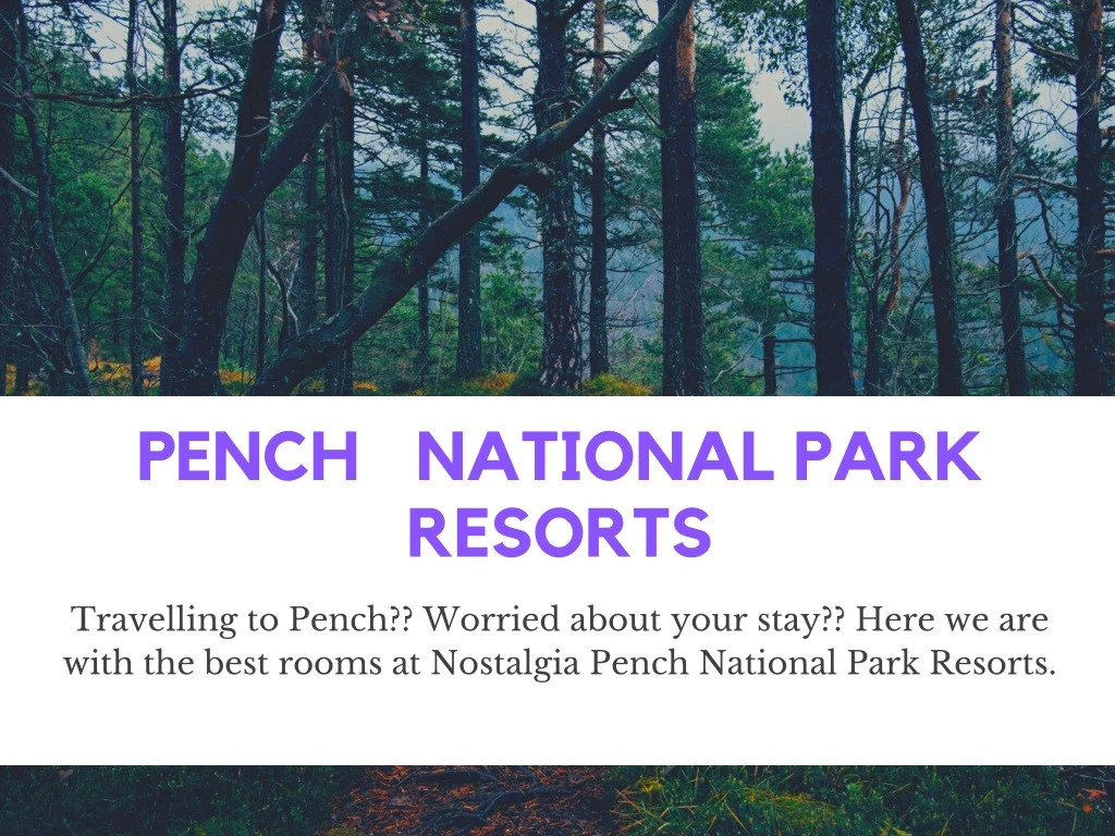 pench national park resorts
