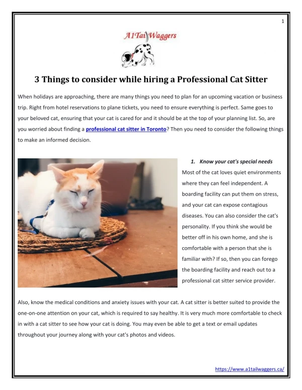 3 Things to consider while hiring a Professional Cat Sitter