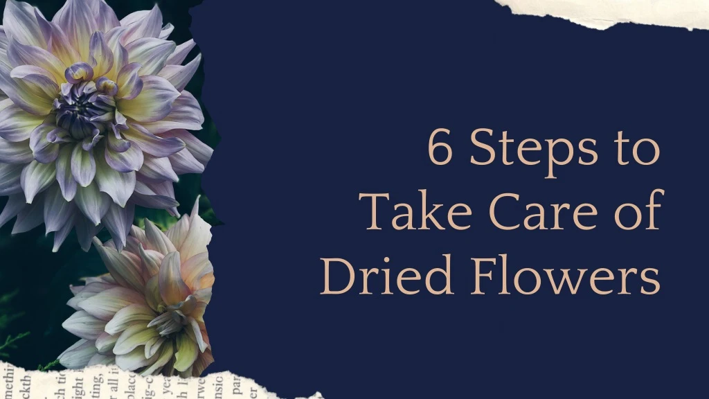 6 steps to take care of dried flowers
