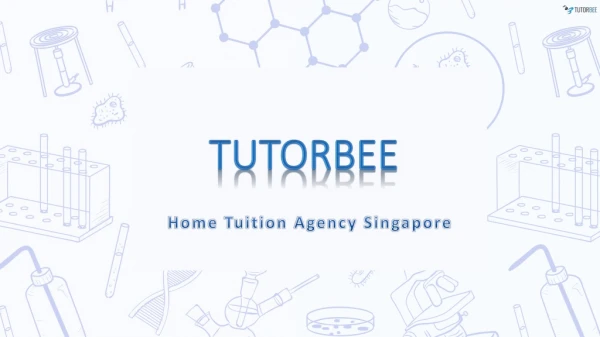 Best Home Tuition Agency | Tutor Bee