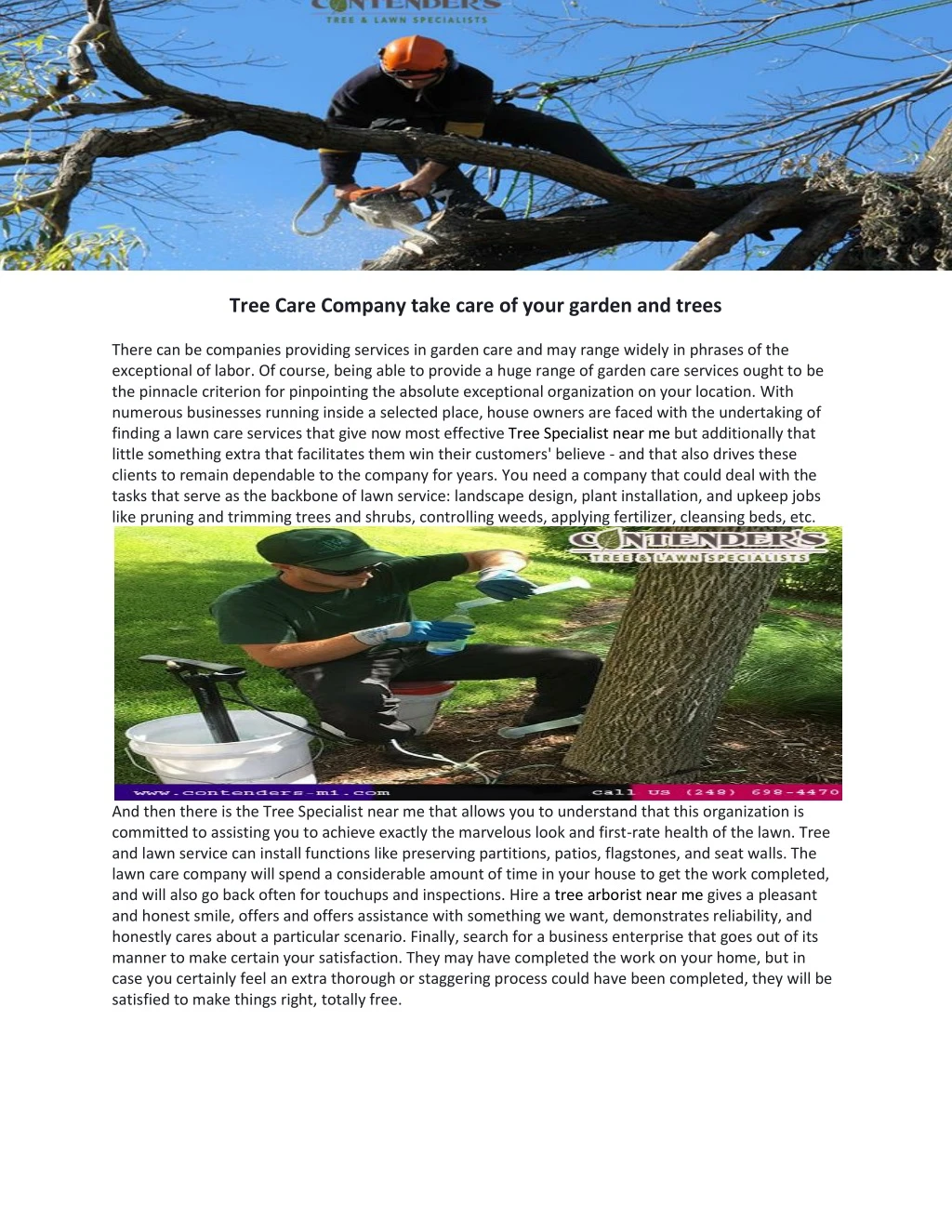 tree care company take care of your garden
