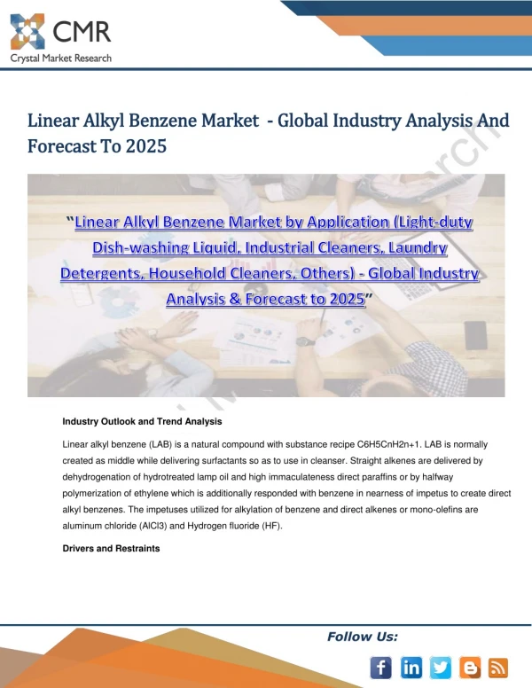 Linear Alkyl Benzene Market by Application - Global Industry Analysis & Forecast to 2025