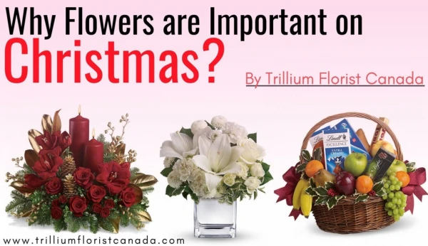 Why Flowers are Important on Christmas by Best Florist in Toronto